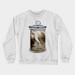 Thunder & lightning hurricane twister bottle art Crewneck Sweatshirt